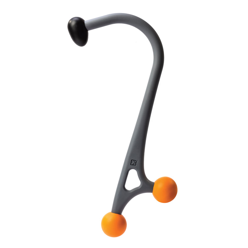 cane_carousel1